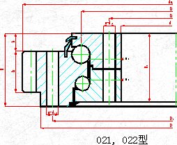 Drawing-for-double-raw-ball-type